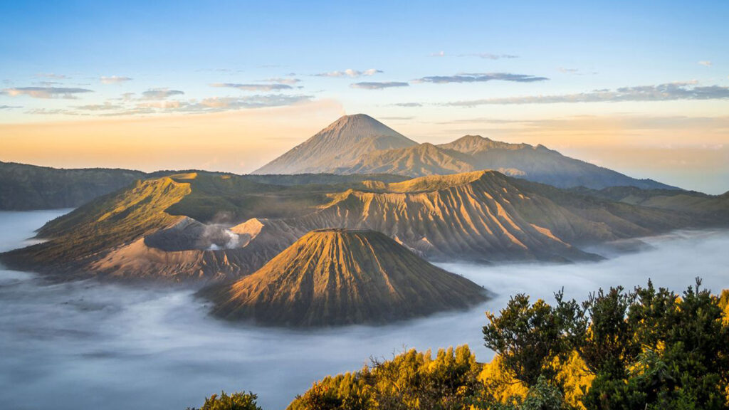 tnbtsbromo